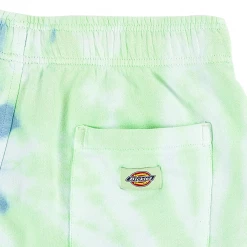 DICKIES - SEATAC SHORT CELADON GREEN