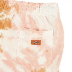 DICKIES - SEATAC SHORT GOLDEN OCHRE