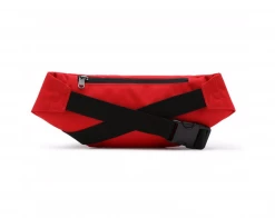 VANS X SE BIKES MINI WARD